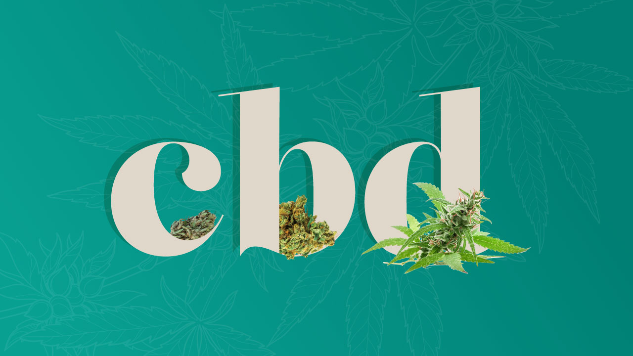 CBD? Everything you need to know about cannabidiol
