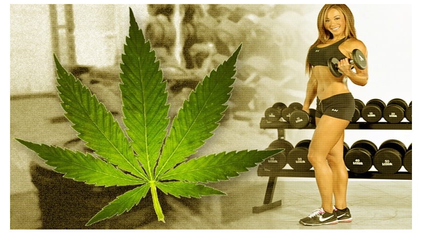 Cannabis and Fitness