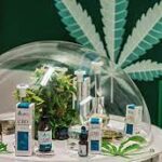 How to Get a Cannabis License Using Cannabis License Services