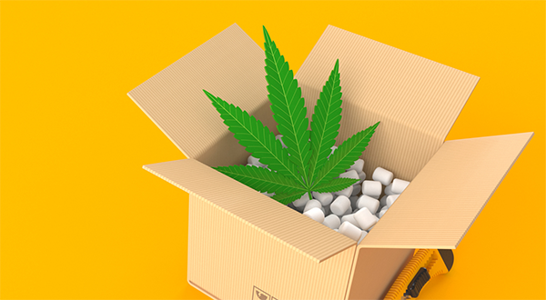 How to Choose Cannabis Packaging Equipment