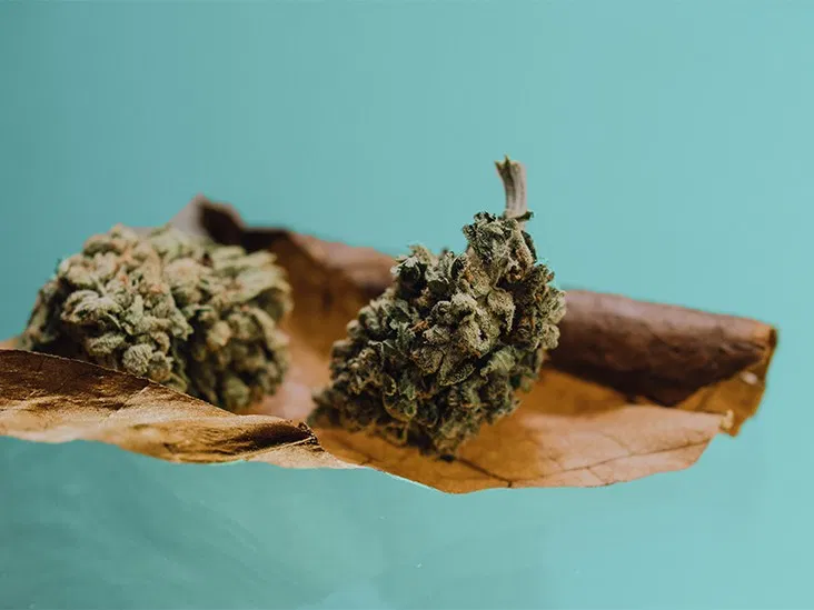 Is your weed going bad?: know all about it.