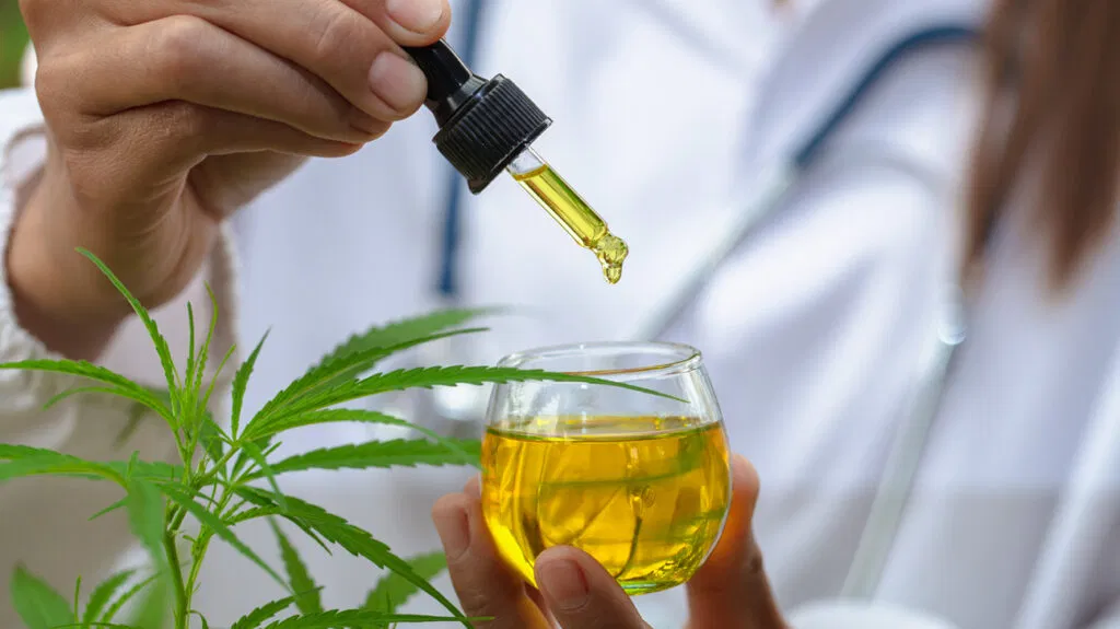 All you need to know about CBD