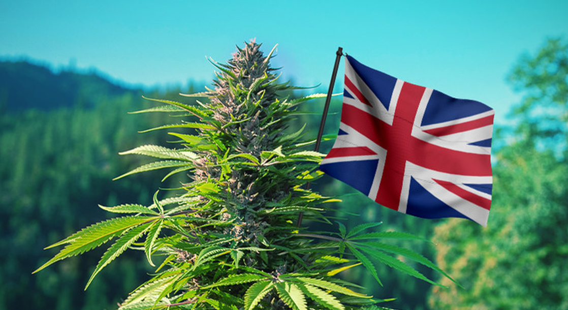 Qualifying Conditions for Medical Cannabis in UK