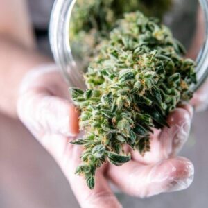 Why Weed Delivery in Vancouver is the Future of Cannabis Culture: A Look at the Benefits and Convenience