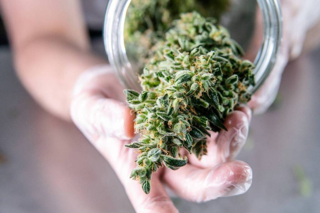 Why Weed Delivery in Vancouver is the Future of Cannabis Culture: A Look at the Benefits and Convenience