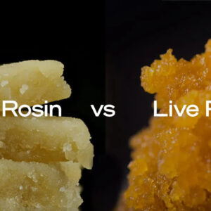 Cost and Quality: A Comparative Analysis of Live Rosin vs Live Resin in Cannabis Concentrates
